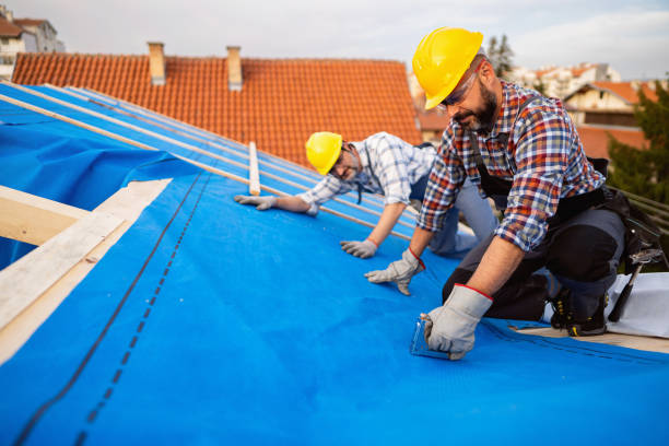 Roof Gutter Cleaning in Pine Valley, CA