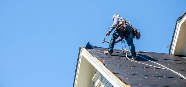 Roof Waterproofing Services in Pine Valley, CA